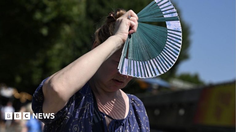 August joint hottest month on record as climate change and El Niño drive heat