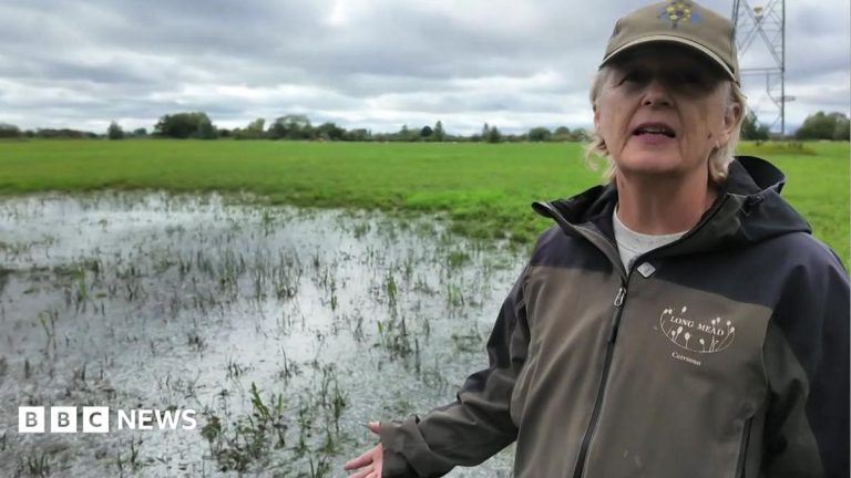 Burst pipe floods wildlife meadow for fourth time