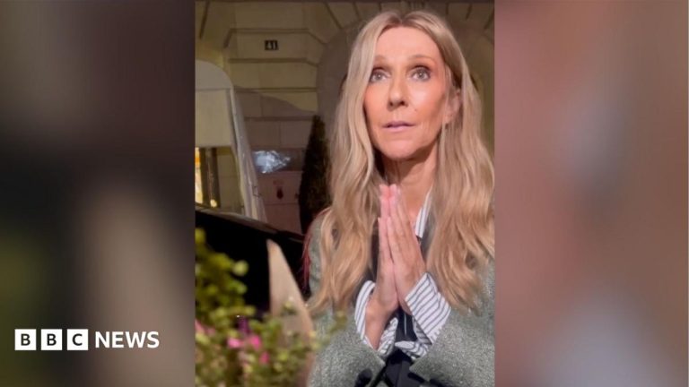 Céline Dion duets with fan ahead of Paris comeback concert