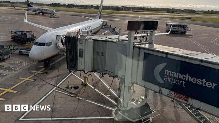 Criminals publish data of 8.7m people after airports hack