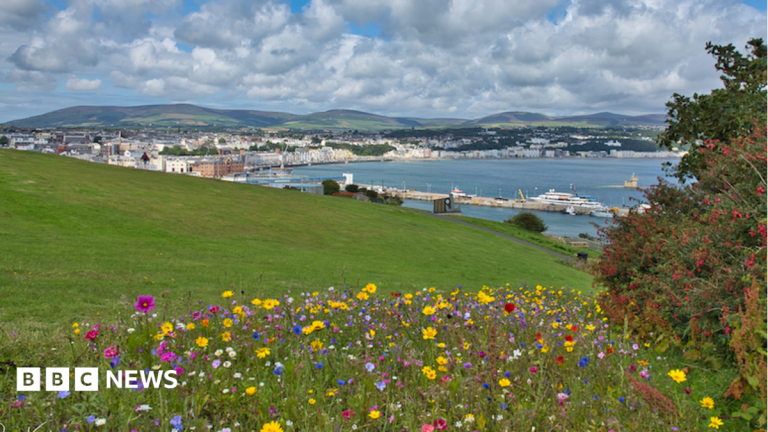 Douglas Head designated a Conservation Area