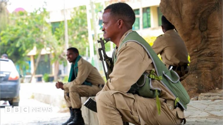 Ethiopia’s army says it has repelled attacks in first comment on fresh fighting