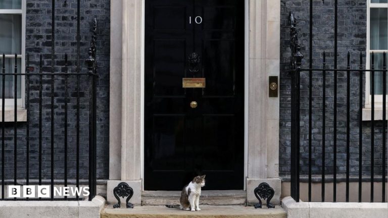 Fake 10 Downing Street listing exposes ‘unfit’ Booking.com, says consumer group