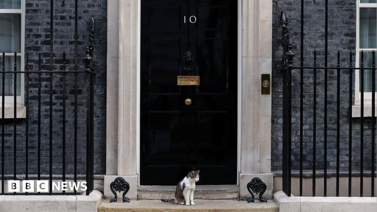 Fake 10 Downing Street listing exposes ‘unfit’ Booking.com, says consumer group