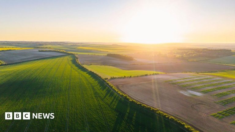 Farmers’ fury at online scramble for £233m funding