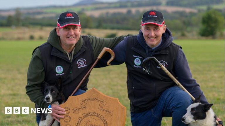 Father and son crowned Sheep Dog World Trial champions