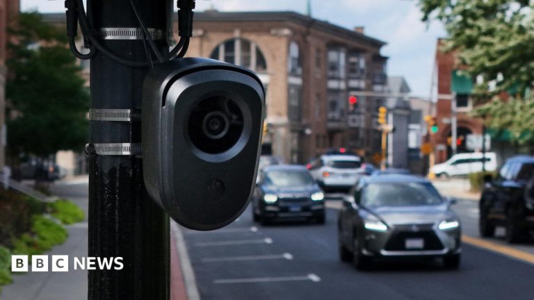 Flock says its cameras make US safer – so why are they being sabotaged?