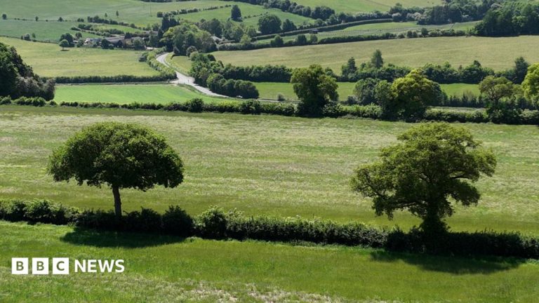 Former farmland to be restored to boost wildlife