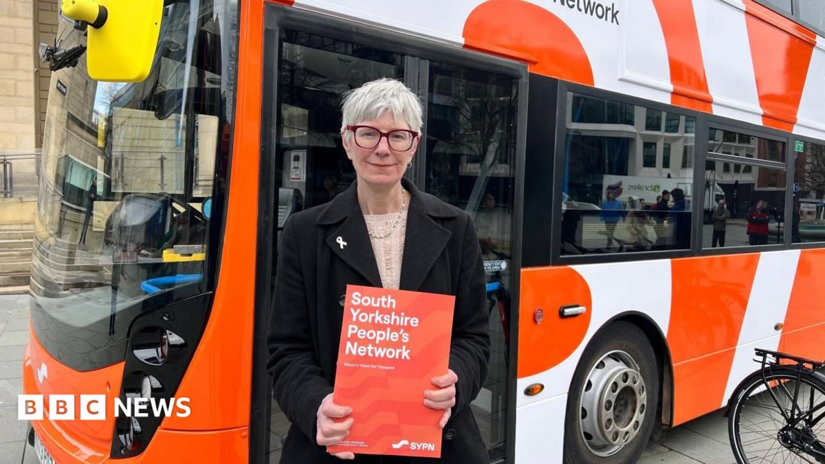 Free travel pilot scheme for young people approved