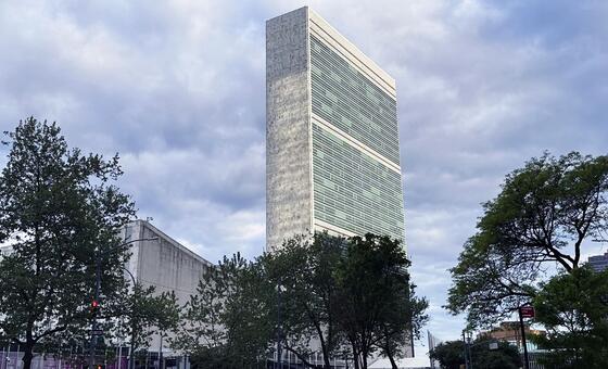General Assembly backs creation of new UN learning institute under UN80 reforms