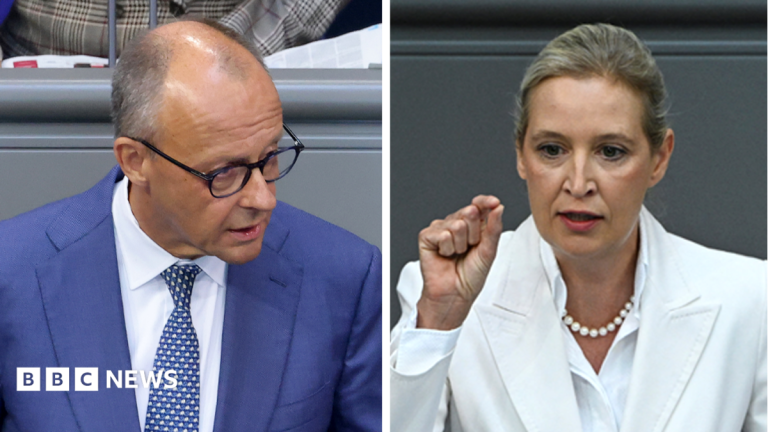 Germany’s Merz attacks AfD in stormy debate after far-right election win