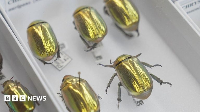 How AI is creating a UK super-museum and revealing our planet’s history