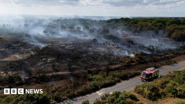 Lives ‘will be lost’ unless UK does more to combat wildfires, committee chairwoman says