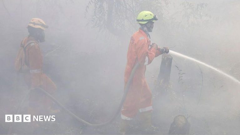 More than 170,000 respiratory cases recorded in haze-choked Indonesia