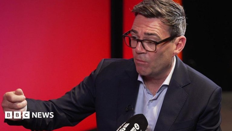 Move to rejoin EU among options for UK, says Burnham