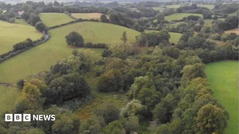 Nature reserve to double in size, thanks to gift