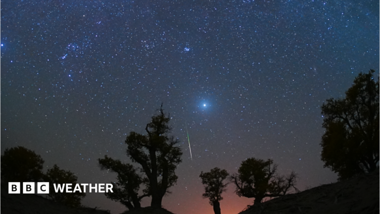 Orionid meteor shower to streak across night sky this week