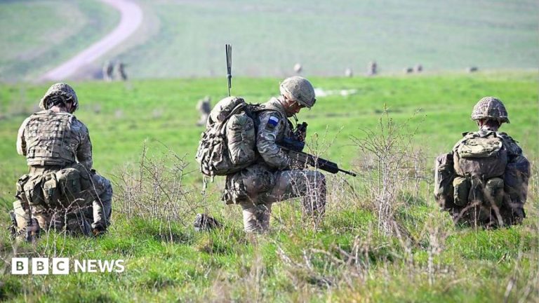 Some veterans to be called up to test UK’s war resilience