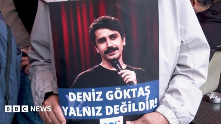 Stand-up comic released after being convicted of insulting Erdoğan