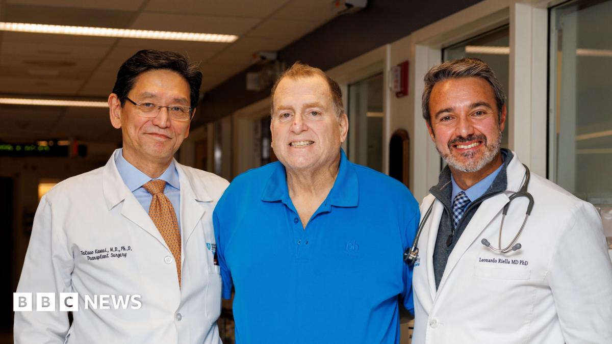 Transplanted pig kidney works in US man’s body for record 271 days