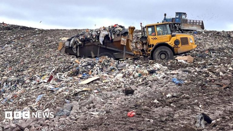 Waste sector crisis could see rubbish piling up on streets, experts warn