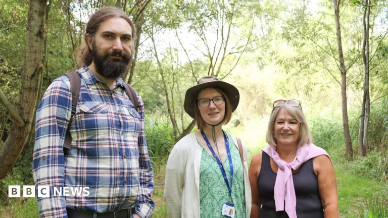 Wildlife and access boost planned for city park