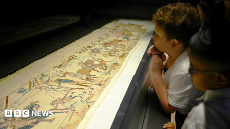 British Museum boss ‘sorry’ for Bayeux Tapestry visitor issues
