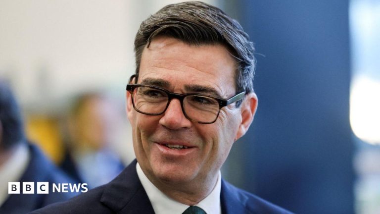 Burnham leaves door open to referendum on EU free movement
