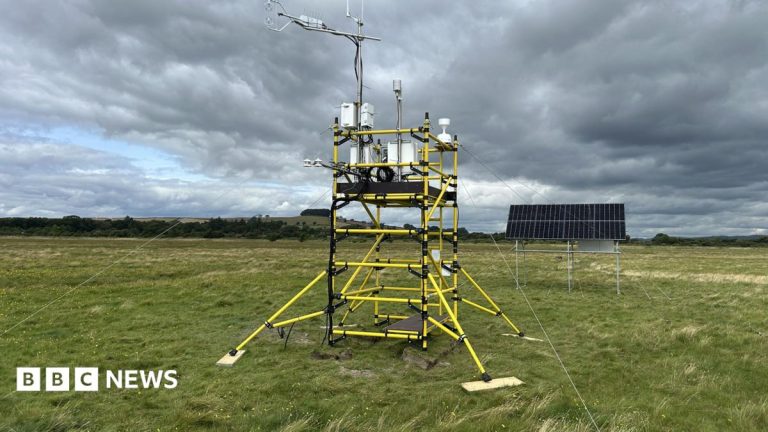 Carbon tracking tower put on Scotland’s largest saltmarsh