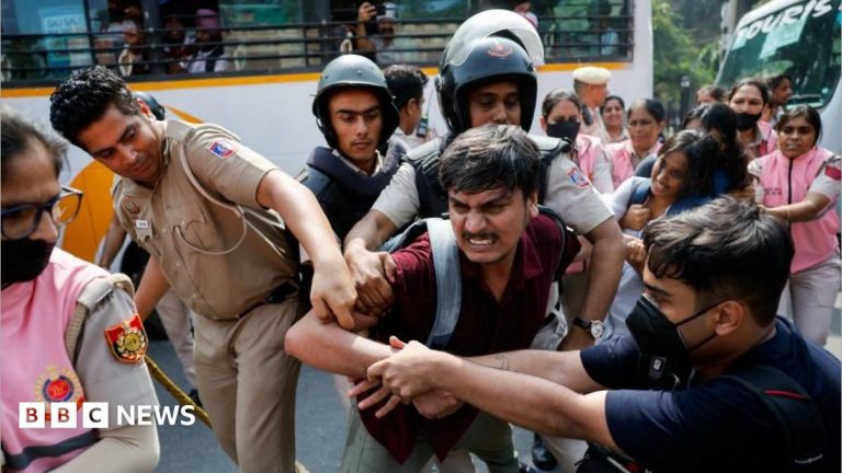 ‘Cockroach’ group leaders among hundreds detained in Delhi protest