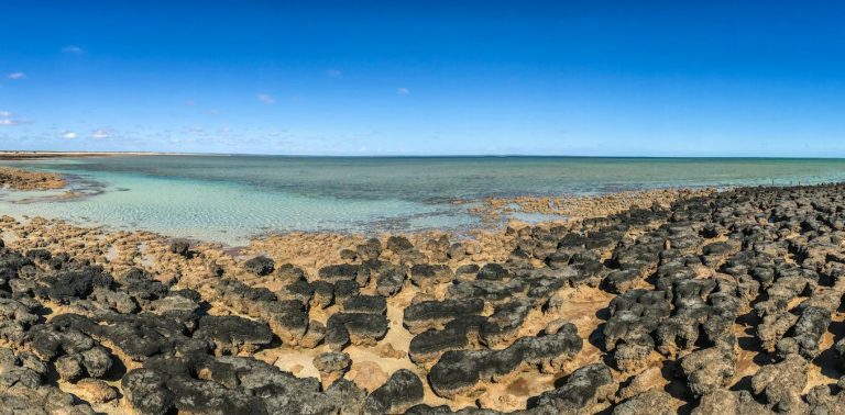 Earth’s oldest evidence of life is written in stone – but it’s at risk of disappearing