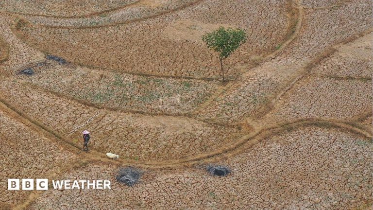 Five ways El Niño is affecting the weather around the world