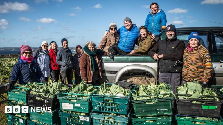 Gleaning group gives £1m of produce to food banks