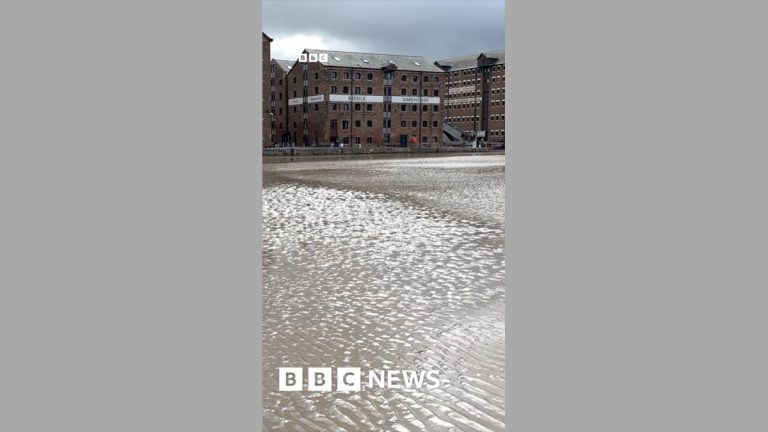Gloucester Docks dredging project costing £4m begins