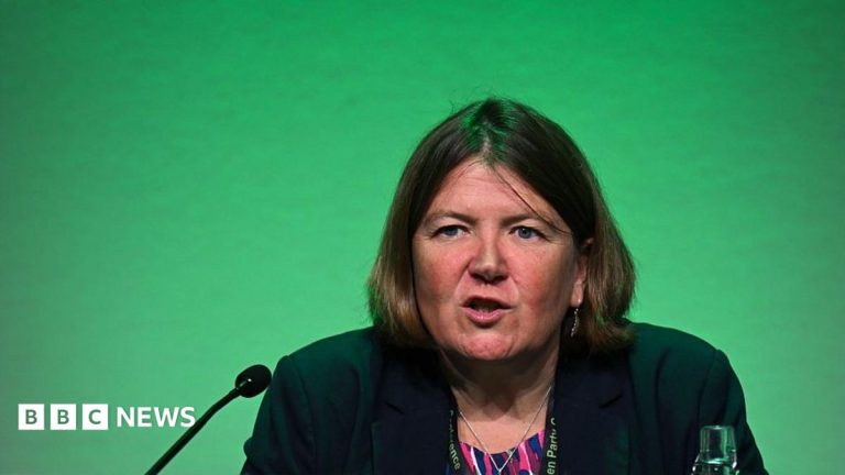 Green Party MP wants to make sure it is ‘not vulnerable to extremists’