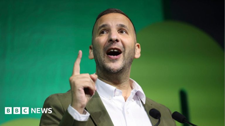 Greens can move Labour in the right direction, says Polanski