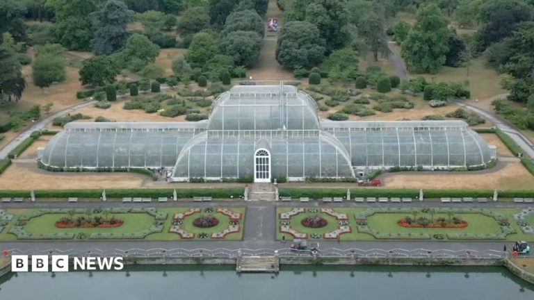 How to move 1,300 plants for Kew’s Palm House mega makeover