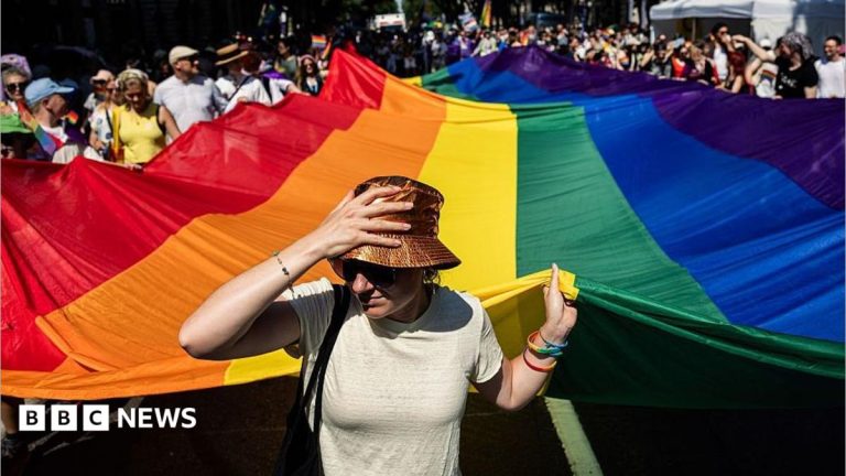 Hungarian MPs scrap Orbán’s anti-LGBTQ measures