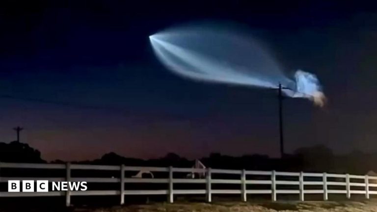 ‘Jellyfish’ effect lights up US sky after SpaceX launch