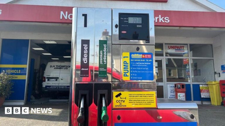 Job cuts could fund diesel price drop says deputy