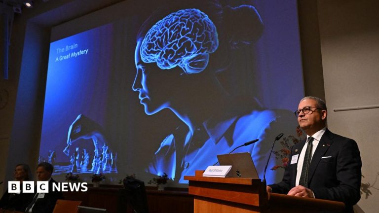 Nobel Prize awarded for showing inner workings of the brain