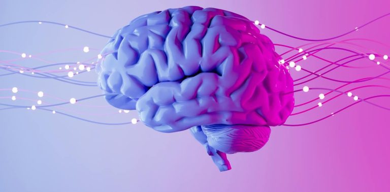 Optogenetics wins the Nobel – one neuroscience breakthrough in a line of technological innovations helping scientists map and control the brain