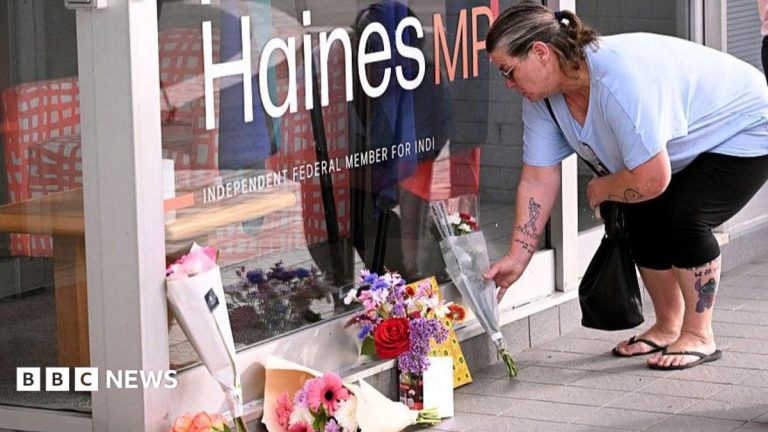 ‘Our worst nightmare’: Threats to Australian politicians were rising before MP hit by car