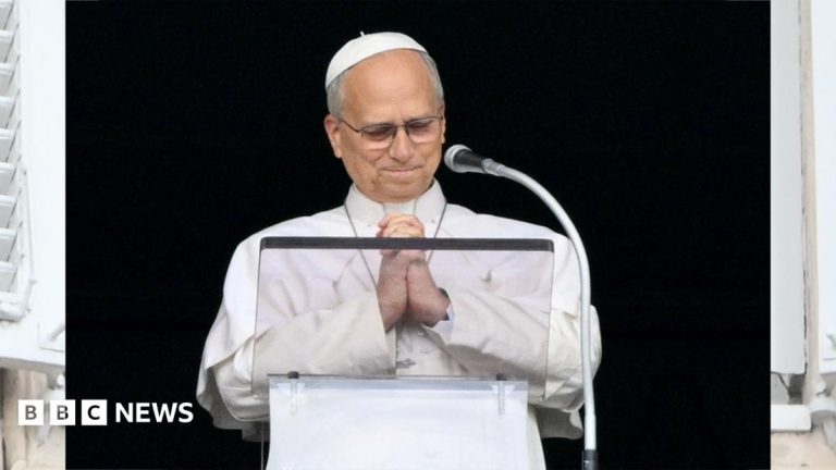 Pope Leo XIV thanks wellwishers in first event after cancer surgery