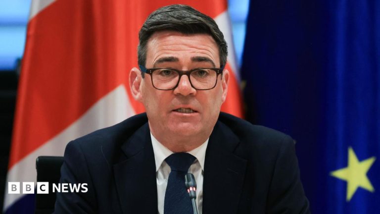Rejecting closer EU ties would be dereliction of duty, PM to say