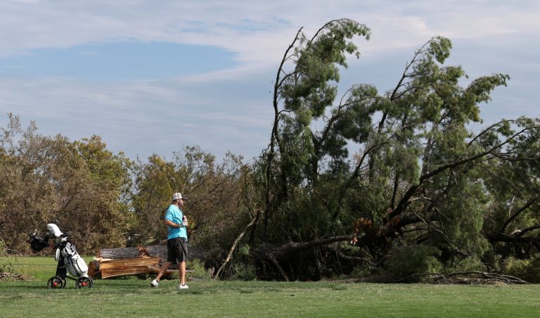 Satellite Images Show Extent of Trump Admin’s Tree-Felling at DC Golf Course, Despite “Furious” Judge’s Order