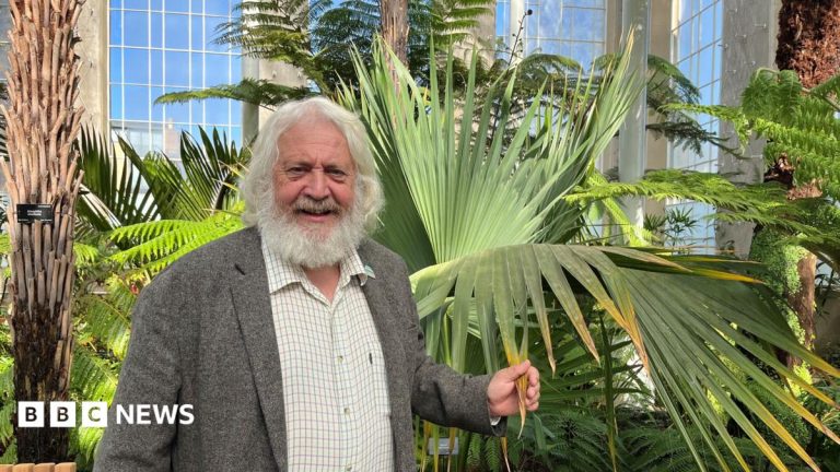 Six years, hundreds of plants and one tree casualty – Edinburgh’s Palm House returns