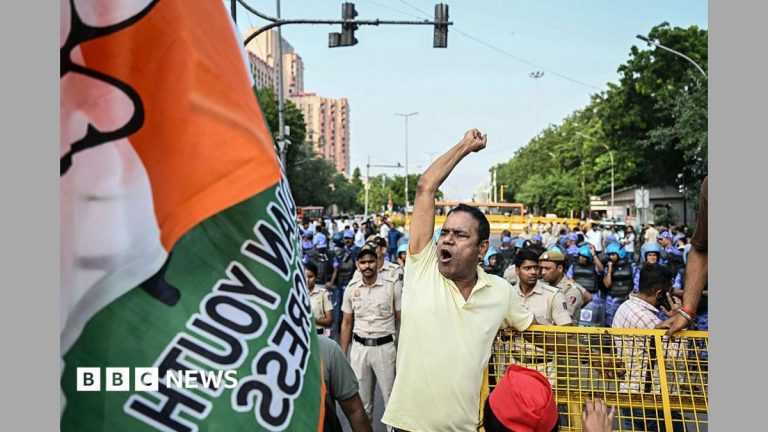 Thousands march to Indian Supreme Court to demand election chief resign