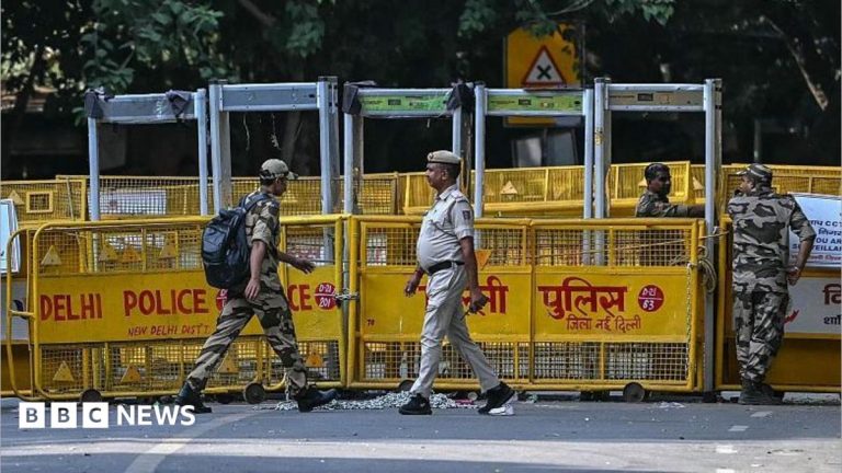 Thousands of security personnel deployed as Delhi braces for ‘cockroach’ protest