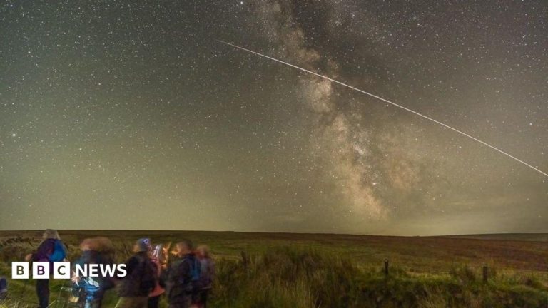 What is behind the success of dark skies festival?